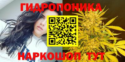 mdma Партизанск
