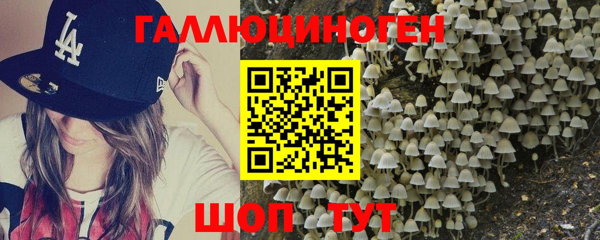 Галлюциногенные грибы Psilocybine cubensis  Вход с VPN  Псилоцибиновые грибы мицелий  Спасск-Дальний 